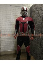 01DAD-蟻人（19美版）Ant-Man 漫威 復仇者聯盟 