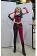 01EOB- 小丑女 (阿卡漢B) 阿卡漢騎士 Harley Quinn