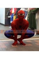 02ADA-蜘蛛人（紅一般）Spider-Man 漫威 復仇者聯盟 