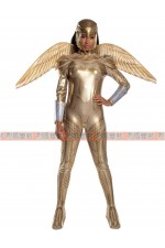 02DCJ-神力女超人1984 Wonder Woman DC漫畫 正義聯盟 