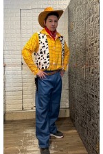 04AAH- 胡迪G   Toy Story 玩具總動員 