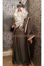 05BAA-鄧不利多 Harry Potter 哈利波特 