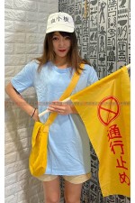 13BAA-工作細胞（血小板）