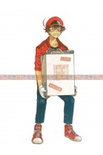 13BBB-工作細胞（紅血球）