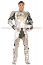 16FM-銀鎧甲騎士