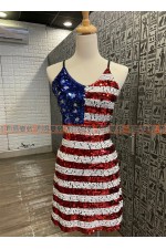 26CB-美國國旗服