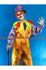 34FE-黃衣紫袖小丑