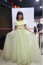 OE221- 淺綠紗宮廷洋裝