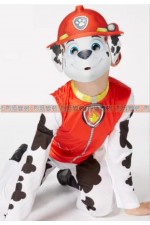 OGDA09AA- 汪汪戰隊 毛毛A