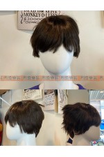 WIG05E-男生假髮(棕中04)