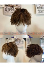 WIG05E-男生假髮(棕中05)