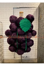 X01L-葡萄裝（水果食物裝）